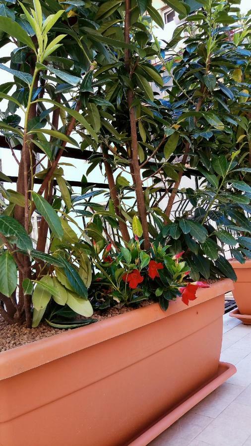 B&B Malaga Salerno Ngoại thất bức ảnh